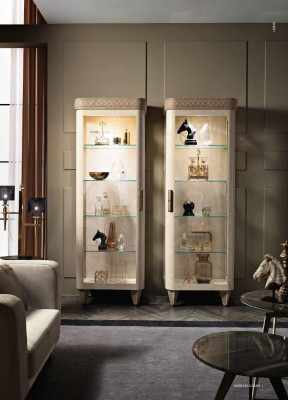Vitrine glazen kast kast plank hout vitrine design modern woonkamer nieuw