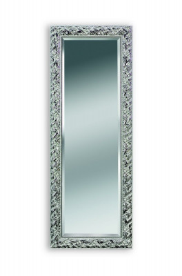 Muurspiegel Decoratie Meubels Wonen Interieur Muur Spiegel 83x177cm Nieuw