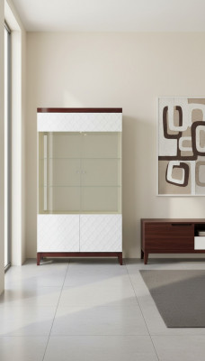 Moderne Design Vitrine Glasvitrine Vitrine Kast Etalagekast Decoratieplank