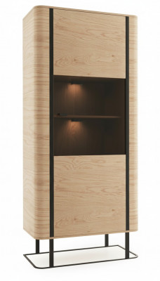 Vitrine archiefkast kast Vitrinekasten kantoor woonkamer hoge kast