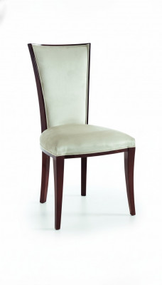 Ontwerperstoel Koninklijke klassieker Stoelen Bekleding Rugleuning Zithout