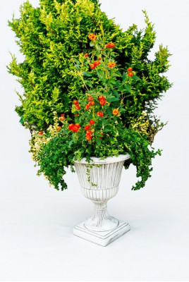 Bloempot Plantenbak Decoratiefiguur Bloempotten Tuin Vazen