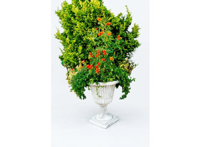 Bloempot Plantenbak Decoratiefiguur Bloempotten Tuin Vazen