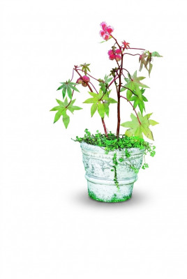 Bloempot Plantenbak Decoratie Natuur Figuur Bloempotten Vazen Tuin