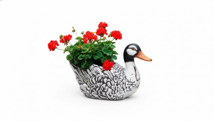 Bloempot Plant Natuur Pot Decoratie Figuur Bloempotten Vazen Tuin