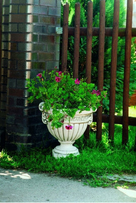 Bloempot Planten Natuur Pot Decoratie Figuur Vazen BloempottenTuin