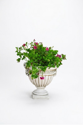 Bloempot Planten Natuur Pot Decoratie Figuur Vazen BloempottenTuin