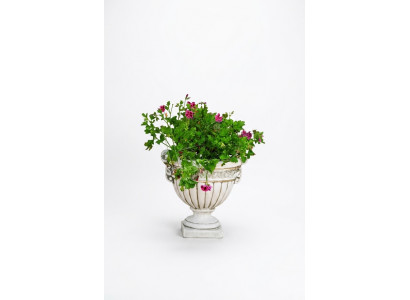 Bloempot Planten Natuur Pot Decoratie Figuur Vazen BloempottenTuin