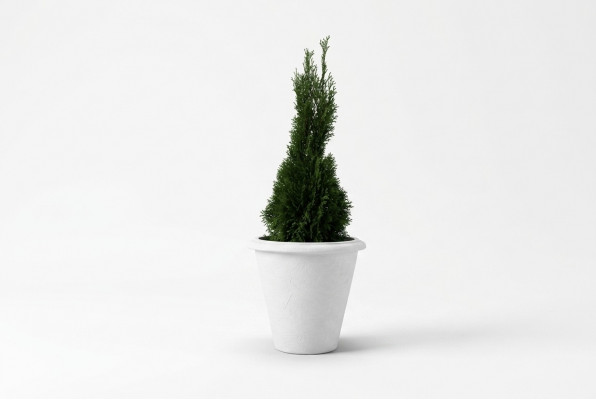 Natuur Bloempot Plantenpot Decoratie Figuur Vazen Tuin Bloempotten
