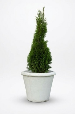 Bloempot Plantenpot Decoratie Figuur Vazen Tuin Bloempotten Natuur