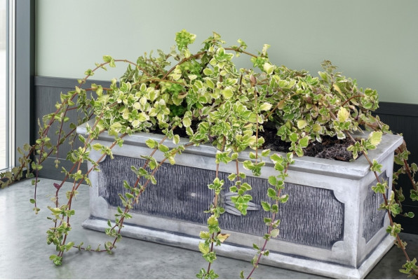 Bloempot Plantenbak Decoratie Natuurlijke Figuur Vaas Tuin Bloempotten