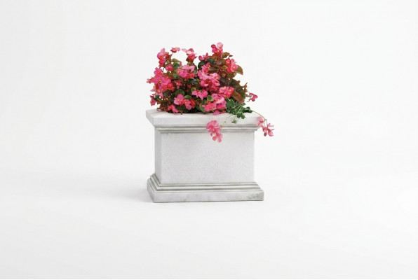 Bloempot plantenpoto