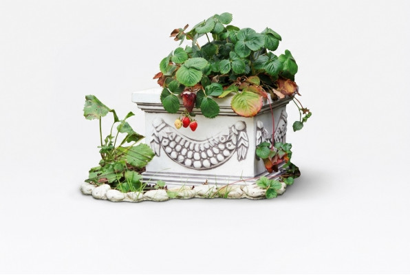 Bloembak Plant Natuur Pot Decoratie Figuur Vazen Tuin Bloempotten.