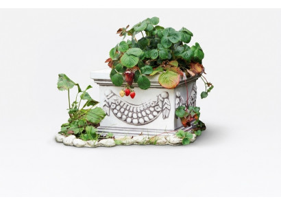 Bloembak Plant Natuur Pot Decoratie Figuur Vazen Tuin Bloempotten.