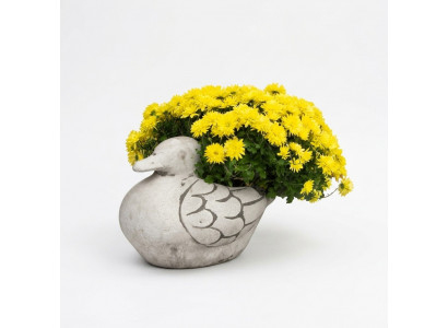 Bloembak Natuur Planten Pot Decoratie Figuur Tuin Bloempotten Vazen