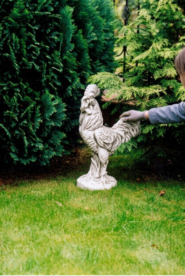 Tuindecoratie Kip Standbeeld Sculptuur Beelden Sculpturen Ontwerper
