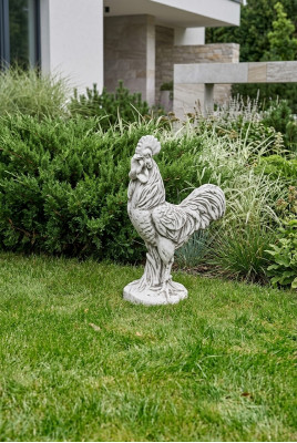 Tuindecoratie Kip Standbeeld Sculptuur Beelden Sculpturen Ontwerper