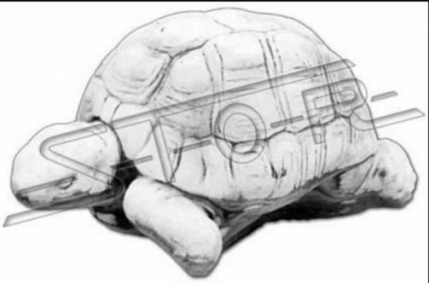 Tuindecoratie Schildpad Terras Steenfiguren Decoratiestatuut