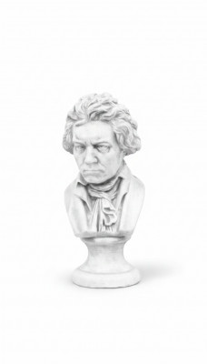 Beethoven beroemde buste figuur sculptuur beeldhouwwerken figuren standbeelden