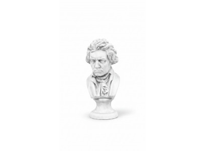 Beethoven beroemde buste figuur sculptuur beeldhouwwerken figuren standbeelden