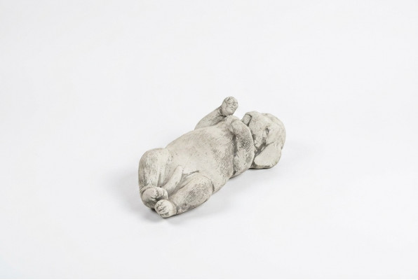 Tuindecoratie Hond Terras Steenfiguren Figuur Decoratief Wit Standbeeld