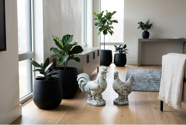 Tuindecoratie Kip Terras Steen Beelden Beeld Wit Decoratief Standbeeld