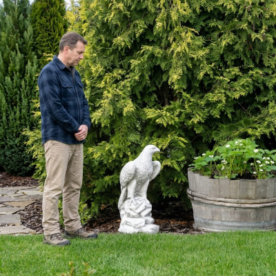 Beeld Adelaar Tuin Standbeeld Sculptuur Decoratieve Sculpturen Figuren Standbeelden