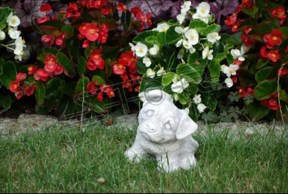 Tuindecoratie Witte Hond Terras Steenfiguren Decoratief Standbeeld Figuur