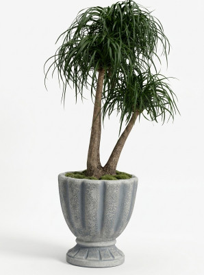 Ontwerp bloempot decoratie pot planten emmer vat potten figuur gezicht sculptuur