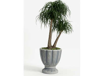 Ontwerp bloempot decoratie pot planten emmer vat potten figuur gezicht sculptuur