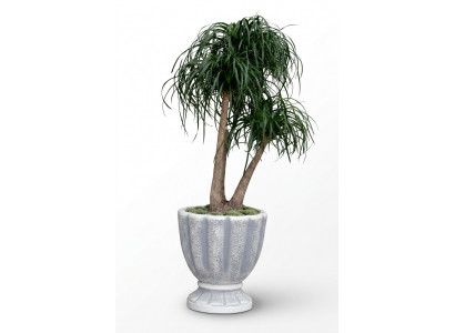 Bloempotten Doos Pot Bloemen Decoratieve Potten XXL Beton Tuin Terras