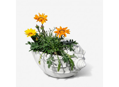 Ontwerp bloempot Top Planz emmer Decoratieve pot Potten Figuur Gezicht