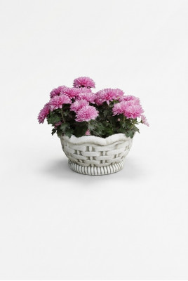 Bloempotten Doos Pot Bloemen Potten XXL Tuin Beton Decoratief Terras