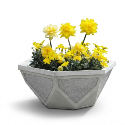 Bloempot Plant Natuur Pot Decoratie Tuin Vazen Beeld Bloempotten
