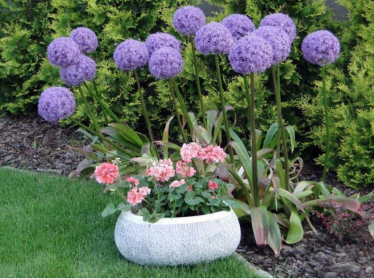 Bloempot Natuur Planten Pot Decoratie Tuin Vazen Figuur Bloempotten