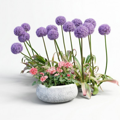 Bloempot Natuur Planten Pot Decoratie Tuin Vazen Figuur Bloempotten