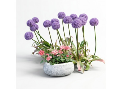Bloempot Natuur Planten Pot Decoratie Tuin Vazen Figuur Bloempotten