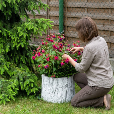 Bloempot Plantenpot Natuur Decoratie Vaas Tuinbeeld Bloempotten