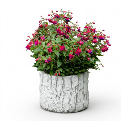 Bloempot Plantenpot Natuur Decoratie Vaas Tuinbeeld Bloempotten