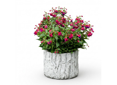 Bloempot Plantenpot Natuur Decoratie Vaas Tuinbeeld Bloempotten