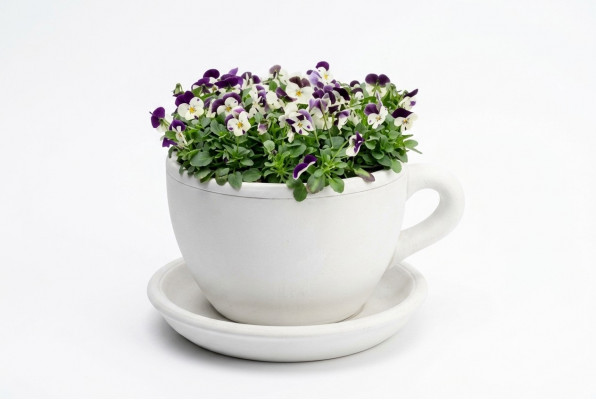 Bloembak plant pot natuur decoratie vazen figuur tuin bloempotten