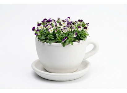 Bloembak plant pot natuur decoratie vazen figuur tuin bloempotten