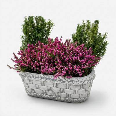 Bloembak plant natuur pot decoratie tuin vazen bloempotten figuur