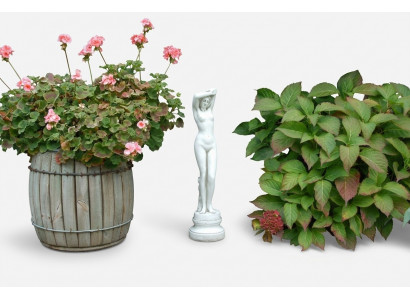 66 cm Decoratie Sculptuur Ontwerp Figuur Standbeeld Tuinfiguren Beelden