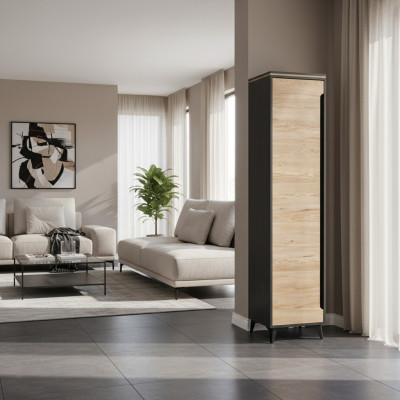 Ladekast Kast Highboard Sideboard Woonkamer Designer Ladenkast Archiefkast