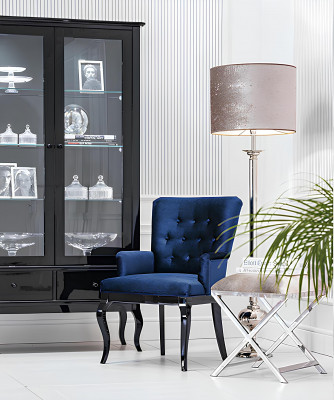 Stoel Fauteuil Rugleuning Zitkussen Designer Stoelen Chesterfield Stof Hoogglans