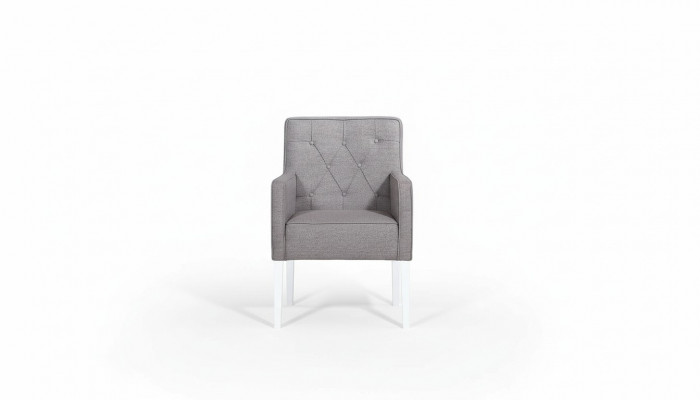 Stoel Set Groep Zitkussen Set Fauteuil Design Leun Stoelen 10x Compleet