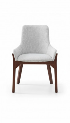 Ontwerp leunstoelen gestoffeerde eetkamerstoelen club keuken lounge woonkamer meubelstoel.