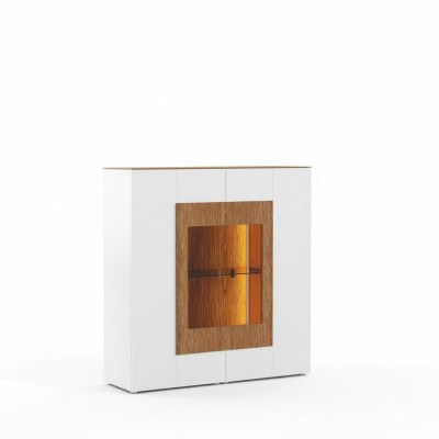 Vitrine glazen kast woonkamer etalage 1-deurs. Vitrine hoge kast dressoir