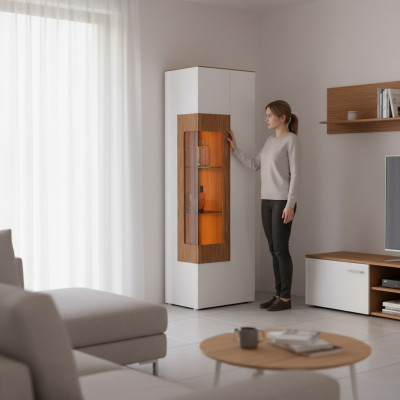 Vitrine glazen kast woonkamer etalage 1 deur. Vitrine hoge kast modern